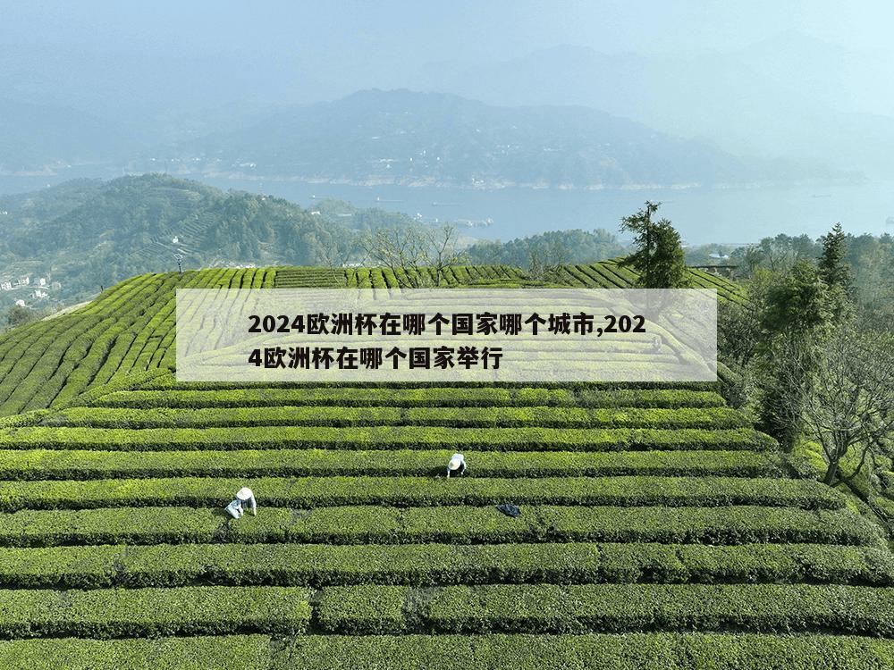 2024欧洲杯在哪个国家哪个城市,2024欧洲杯在哪个国家举行