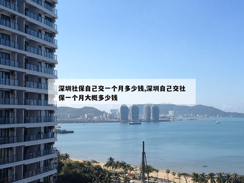 深圳社保自己交一个月多少钱,深圳自己交社保一个月大概多少钱