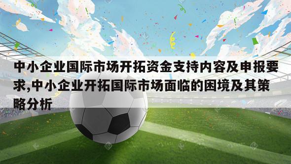 中小企业国际市场开拓资金支持内容及申报要求,中小企业开拓国际市场面临的困境及其策略分析