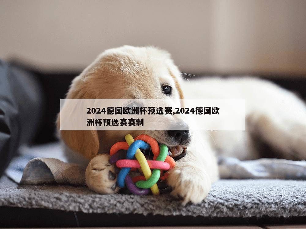 2024德国欧洲杯预选赛,2024德国欧洲杯预选赛赛制