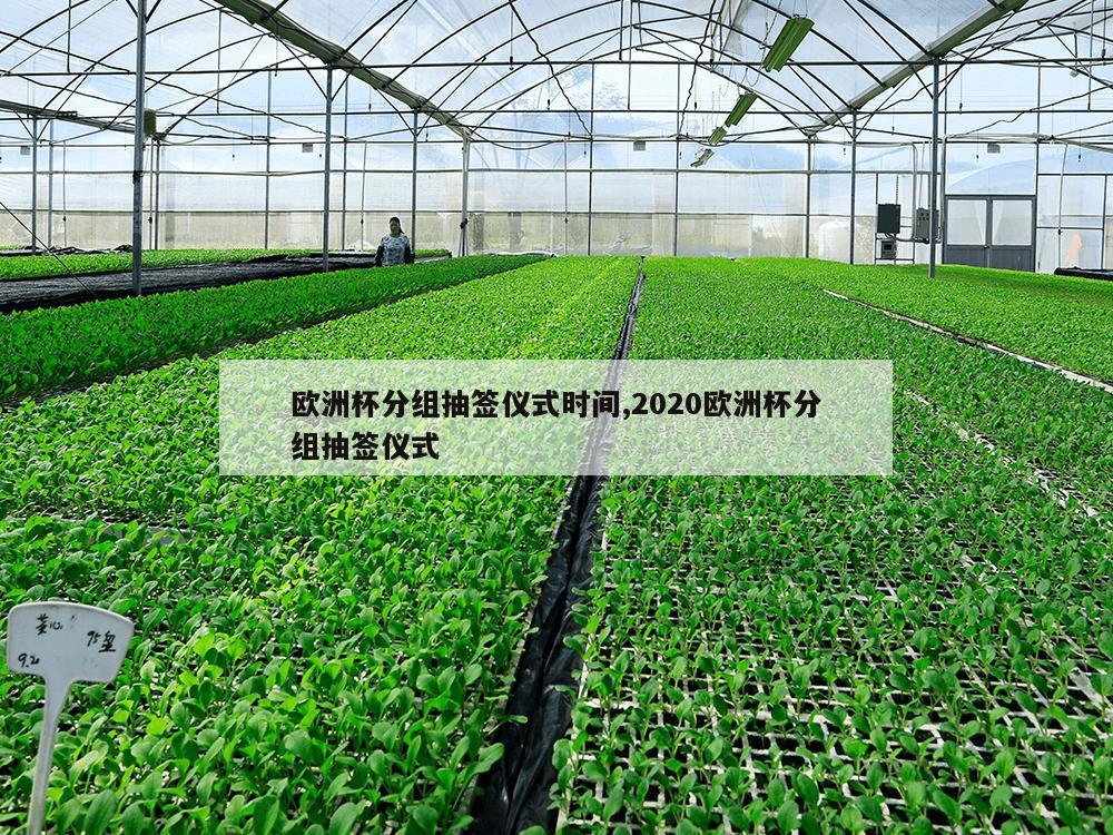 欧洲杯分组抽签仪式时间,2020欧洲杯分组抽签仪式