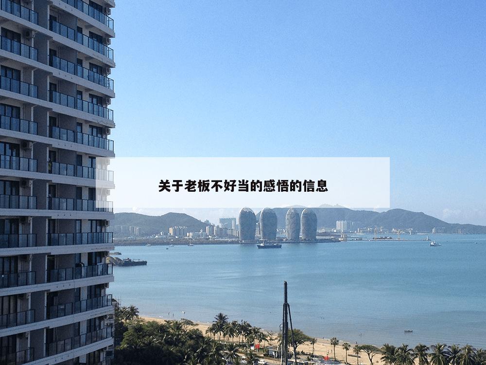 关于老板不好当的感悟的信息