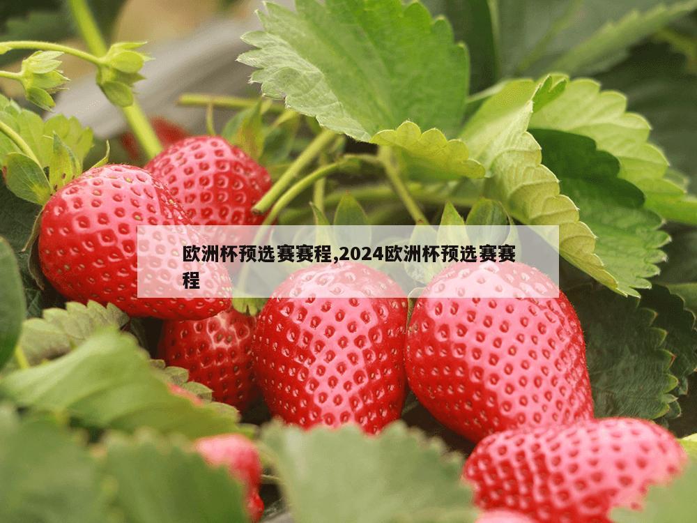 欧洲杯预选赛赛程,2024欧洲杯预选赛赛程