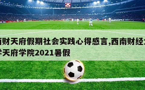 西财天府假期社会实践心得感言,西南财经大学天府学院2021暑假