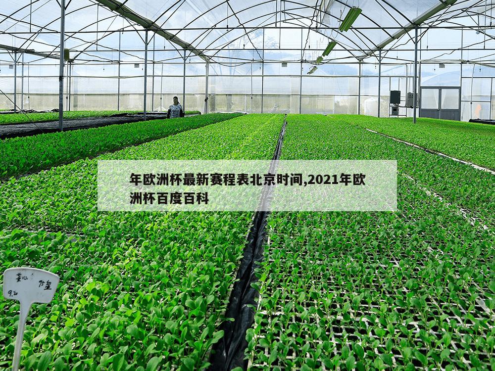 年欧洲杯最新赛程表北京时间,2021年欧洲杯百度百科